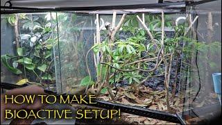 How To Build A Bioactive Rainforest Enclosure!