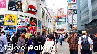 Tokyo Walking tour in Shinjuku 4K Japan Travel