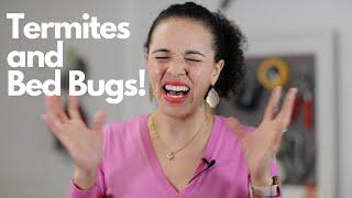 Termites, Bedbugs, Carpet Beetles - OMG!!! (Episode 9 Podcast)