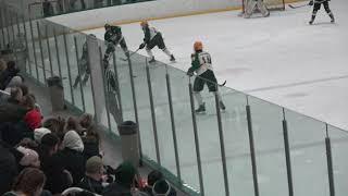 Gene down LC vs FHC 2/29/20