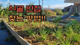 시골빈집을 찾고 싶어요~~ - countryside life