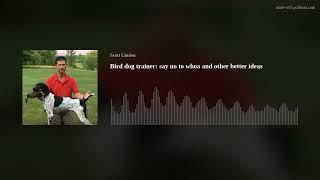 Bird dog trainer: say no to whoa and other better ideas