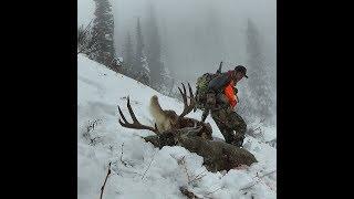 "TO THE TOP 6" MONTANA PUBLIC LAND MULE DEER