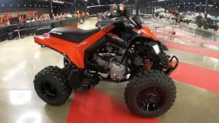 2021 CAN-AM DS 250 - New ATV For Sale - Elyria, Ohio