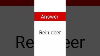 What is the puzzle saying? #puzzles #imagepuzzle