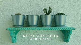 Metal Planter Basics in Gardening