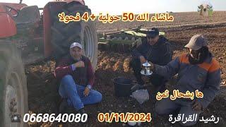 50 خروفة #صردية + 4 فحولا ها بشحال ثمن عند بوشعيب اولاد سي بنداود 01/11/2024