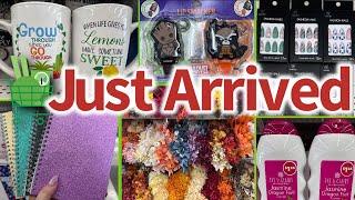 DOLLAR TREESHOCKING NEW ARRIVALS FOR ONLY $1.25‼️ #shopwithme #dollartree #new