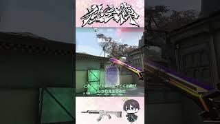 【ヘイブン】【サイファー】C守りで使える意識外カメラ！！#valorant #vct #ヴァロラント #ずんだもん #vtuber