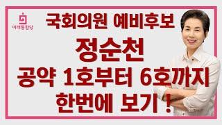 2분만에 정복하는 정순천 국회의원 예비후보 공약! (1호~6호) [정순천TV]