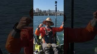 How I catch salmon in the Sacramento River