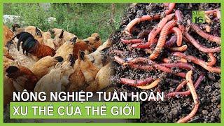 Nông dân chuyển hướng làm nông nghiệp tuần hoàn | VTC16