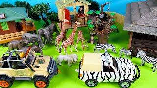 Wild Zoo Animals Toys and Animal Figurines Video