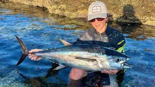 Big Land Based Tuna On INCREDIBLY Light Tackle!!