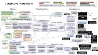 Congestive heart failure (mechanism of disease)