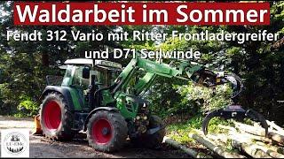 Waldarbeit im Sommer - Fendt 312 Vario mit Ritter Frontladergreifer und D71 Seilwinde