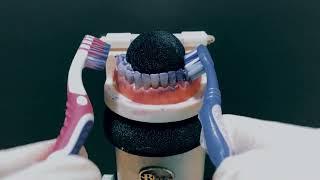 ASMR - Teeth Brushing