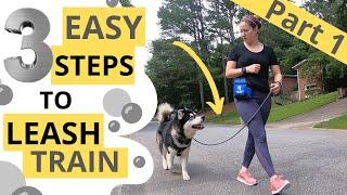 Loose Leash Walking: Attention and Motion (1/3)