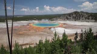 LifeMeansWhat | Yellowstone Gem