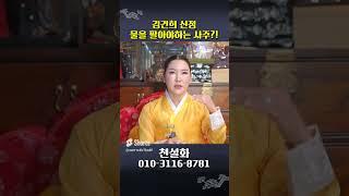 김건희의 사주를 받자마자 "물을 팔아야하는 사주다??" 김건희신점 #shorts