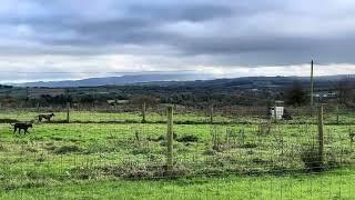 Boulea, The Commons, Co Tipperary