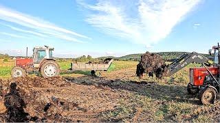 Rozrzucanie obornika ! - Gówniana robota cz.2