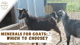 What mineral do my goats love?