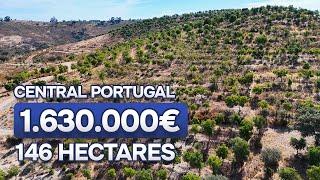 1 630 000€ Strategic #investment  opportunity in Portugal | 146 hectares | 1.630,000€