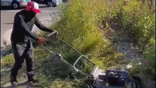 Satisfying Lawnmowing and Gardening videos.