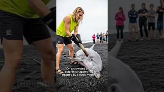 Everyone Watched—But She Was the Only One Who Helped the Dying Dolphin#shorts