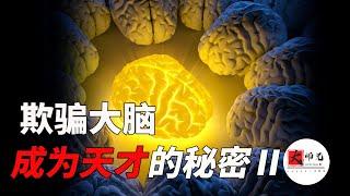 成為天才的方法：如何欺騙你的大腦，改變自己成為天才秘密法則|seeker大师兄