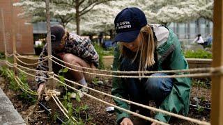 Bachelor of Science in Environment and Sustainability