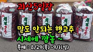 햇고추시세12,000원부터 축제에 들어가는 1등급 고추는 얼마?