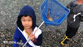 Catching Squid with hand in Newfoundland - Squid picking