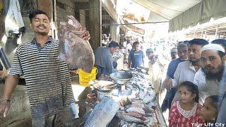 Orangi Town Fish Market - Machli Bazaar - Bangali Para Karachi