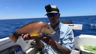 Fishing for baldchin Groper |Two rocks| Western Australia