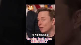 【马斯克要辞职】回归特斯拉，股票有救了，嗨起来#特斯拉股票 #美股 #股哥说美股 #tesla #马斯克 #AI #人工智能 #DeepSeek #chatgpt