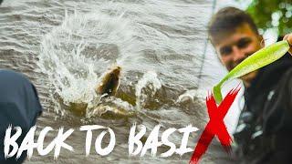 BACK TO BASIX | So fängt jeder ZANDER im FLUSS! (Mit Gewinnspiel)