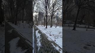 Snowy Christmas at Central Park#shortsvideo #shortvideo #shorts #short #snow #travel #park #newyork