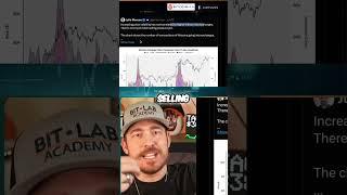 Crypto Strength Signaled!  Holders Stacking Bitcoin Despite Volatility