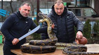 SNAKE on the GRILL. Snake shish KEBAB | GEORGY KAVKAZ