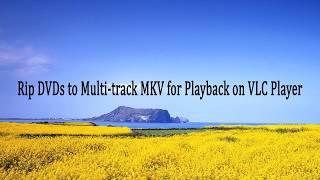 Rip DVDs to Multi-track MKV for Playback on VLC Player