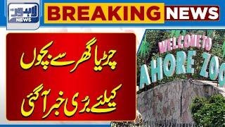 Big News Came From Lahore Zoo | Lahore News HD