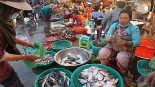 Early Morning SeaFood Market Scene @Prek Phnov Bridge - Daily Activities of Vendors Buying SeaFood