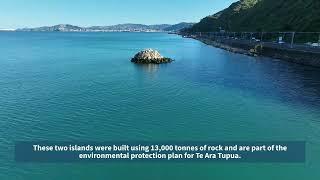 Te Ara Tupua offshore habitats update - September 2024