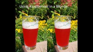 Using Raspberries (and Fruit) in Making Beer.