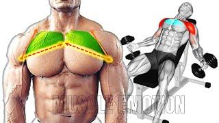 12 BEST UPPER CHEST WORKOUT WITH DUMBBELLS ONLY AT HOME OR GYM