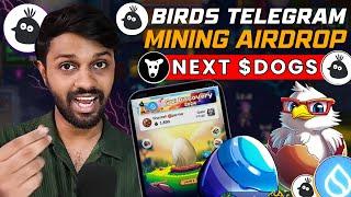 Birds Telegram Bot - Next $DOGS Airdrop  | Supported By SUI Network | Earn $100 to $500 