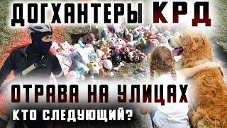 Догхантеры Краснодар. Отрава на улицах - кто следующий?