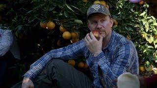 Inside Man: Life of a migrant farmer